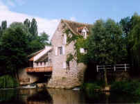 1991.JPG (39113 octets)